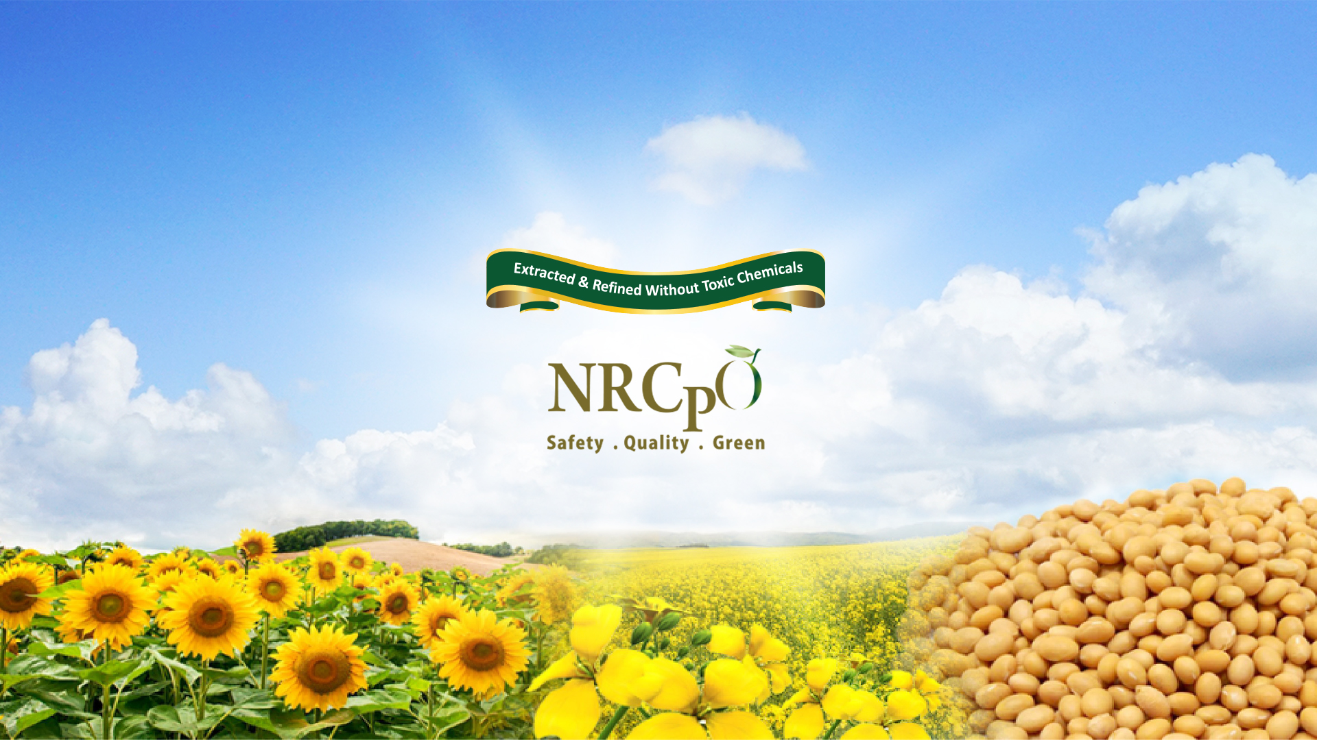 NRCP Oils
